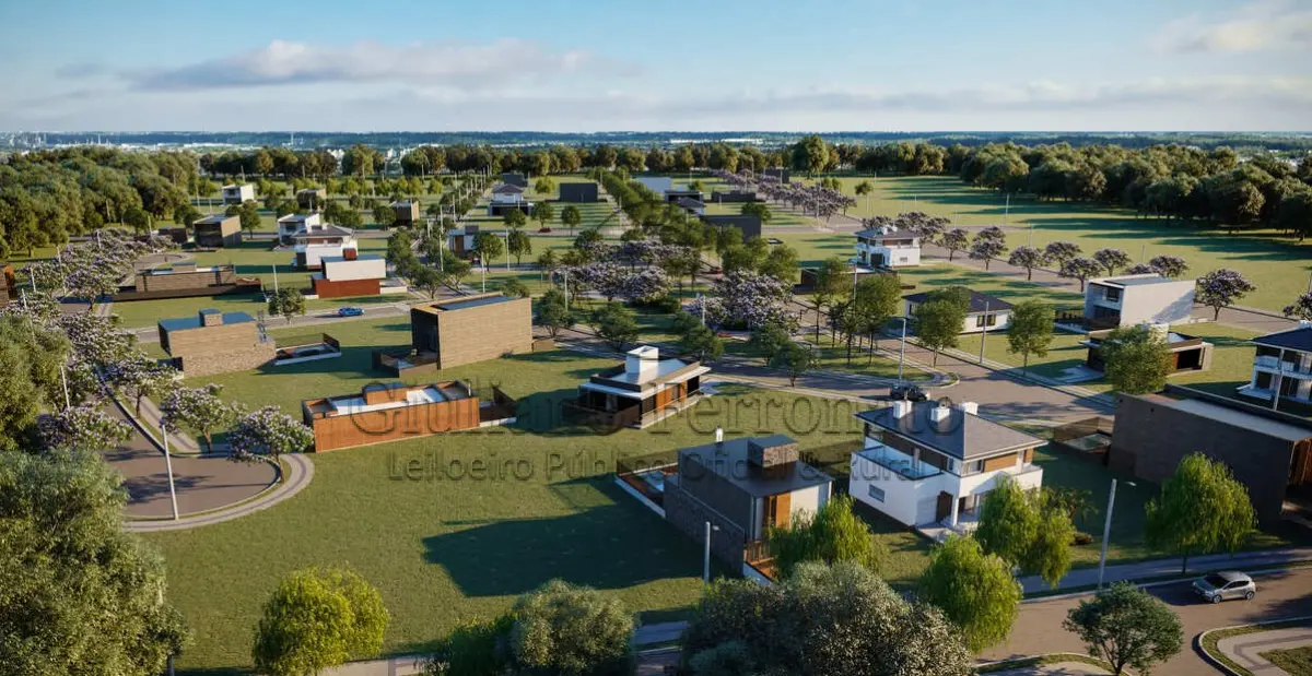 LOTE 901 - Oportunidade única de investimento em Santa Maria